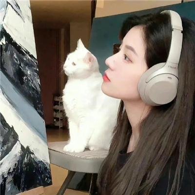 哈儿传奇